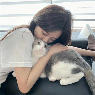 珍禽假意