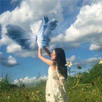 法不容情